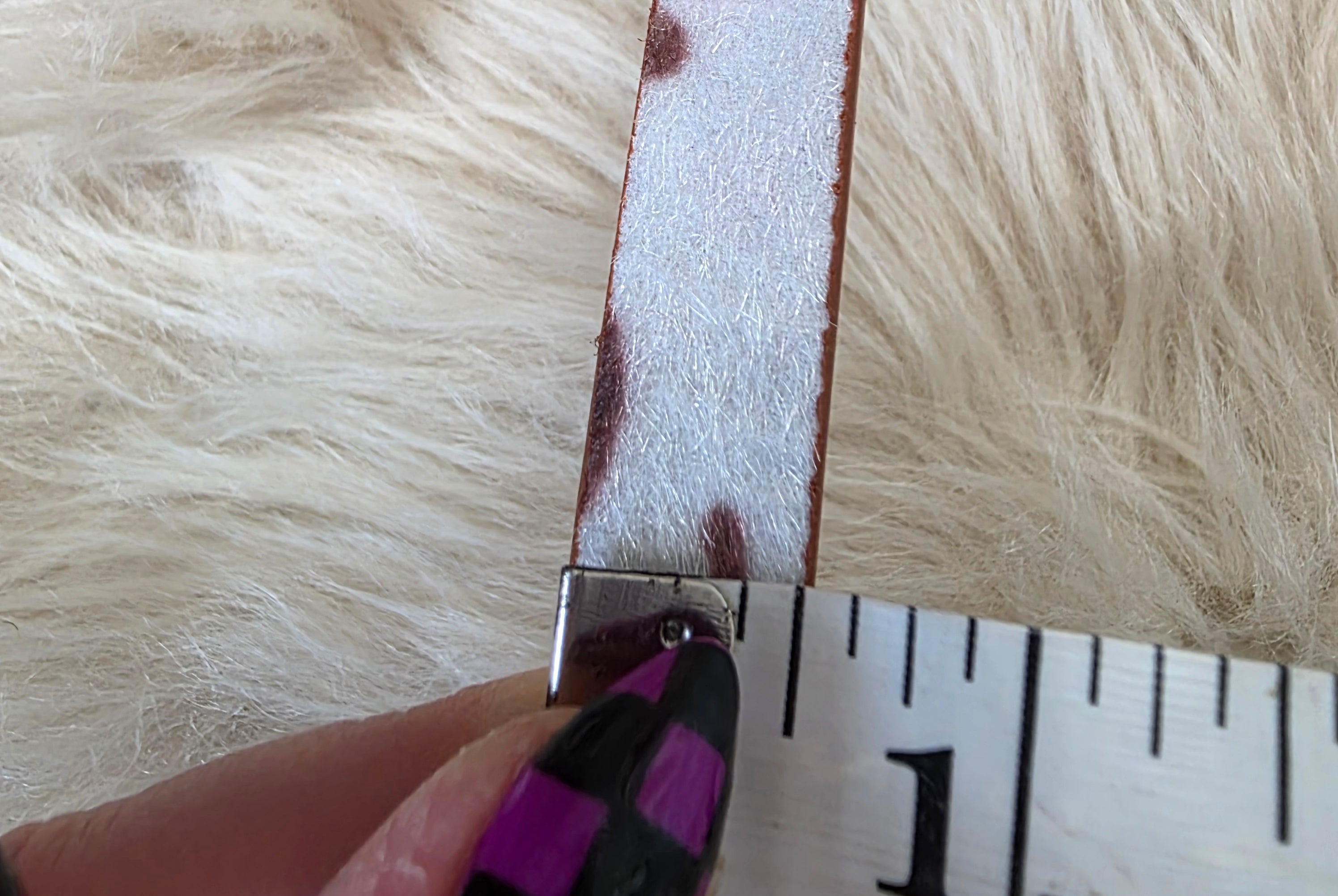 Saddle Up Belt Belt Zenana