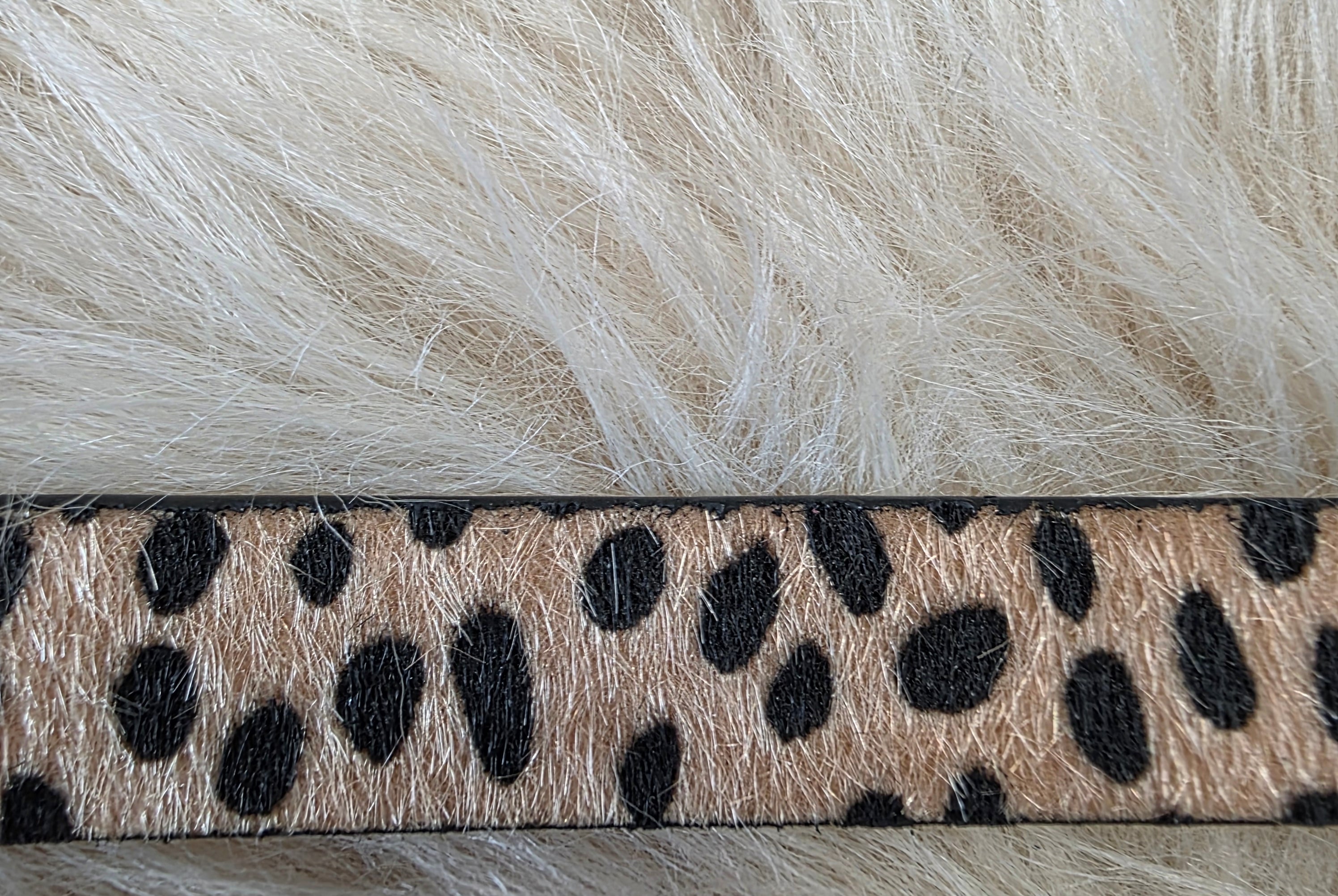 Wild Side Belt Belt Zenana