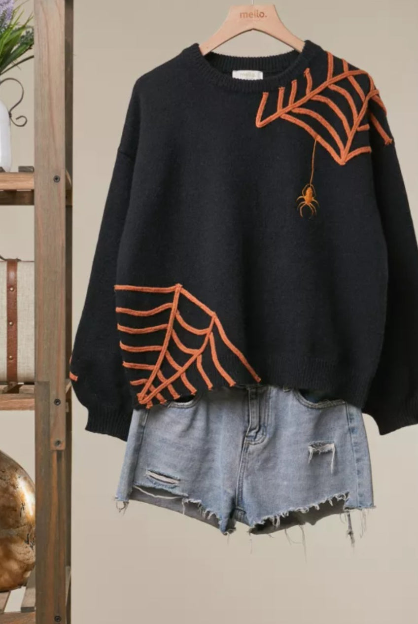 Caught in My Web Sweater Sweater Mello