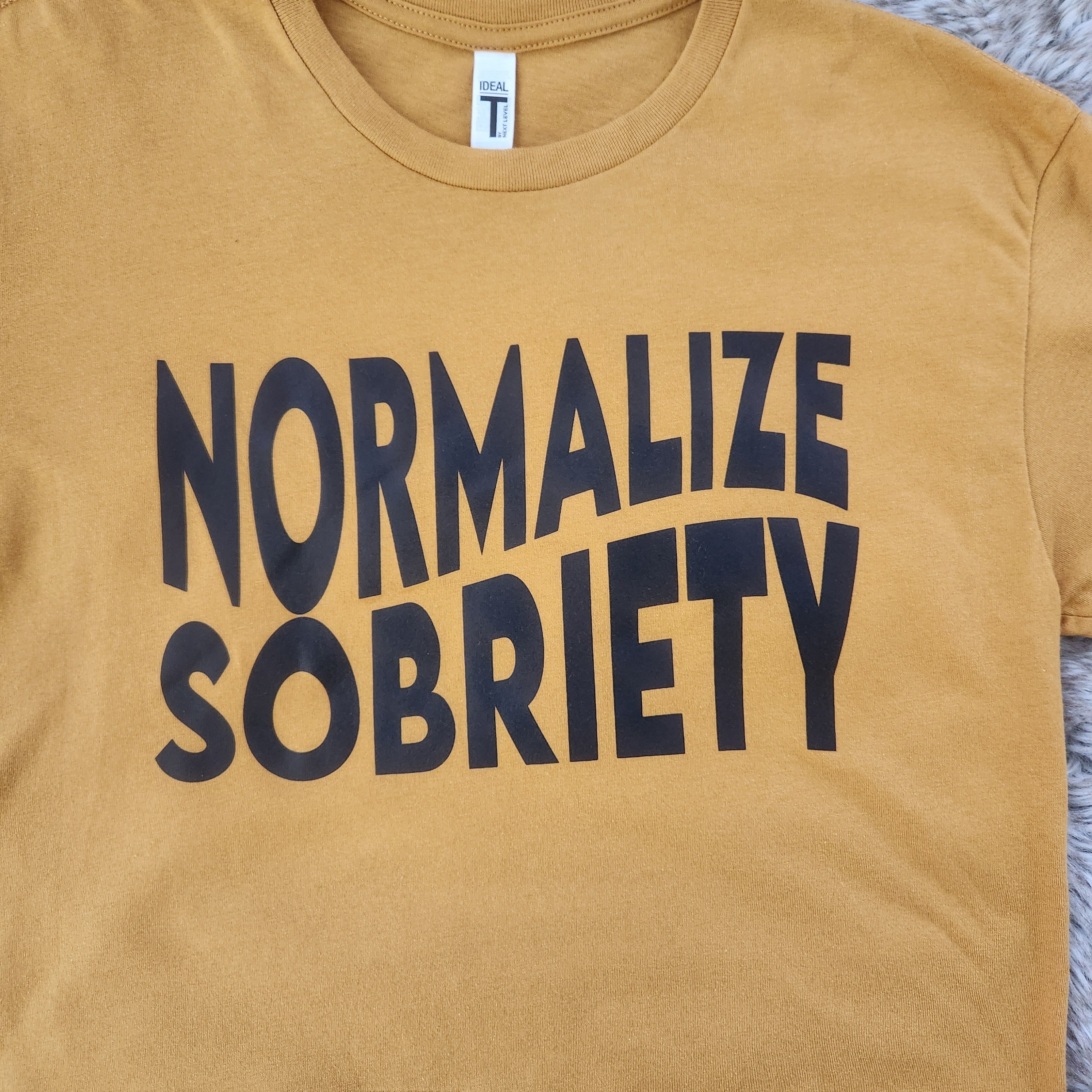 Normalize Sobriety Crop Top Graphic Tee Vintage Vibes Boutique