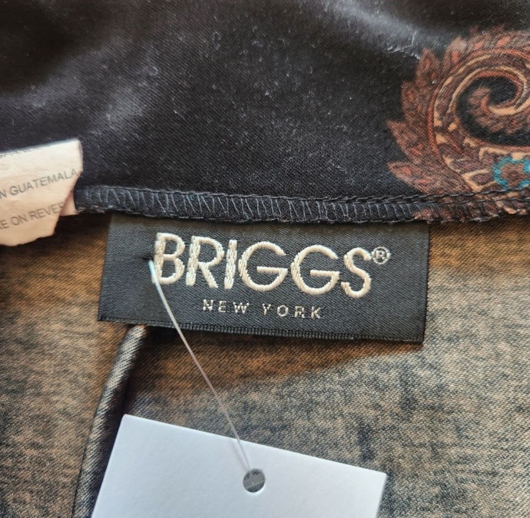 Briggs New York Skirt Vintage Vibes Boutique