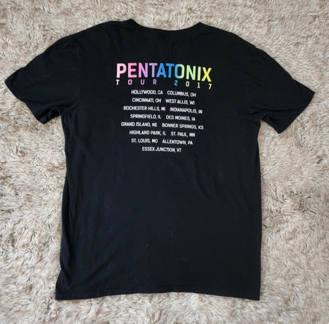 Pentatonix 2017 Tour Band Tee Vintage Vibes Boutique
