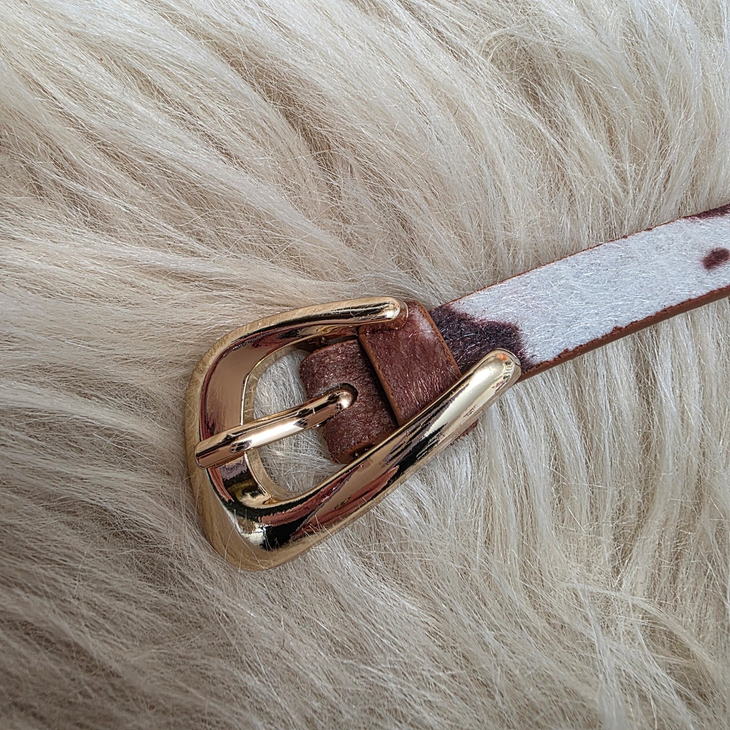 Saddle Up Belt Belt Zenana