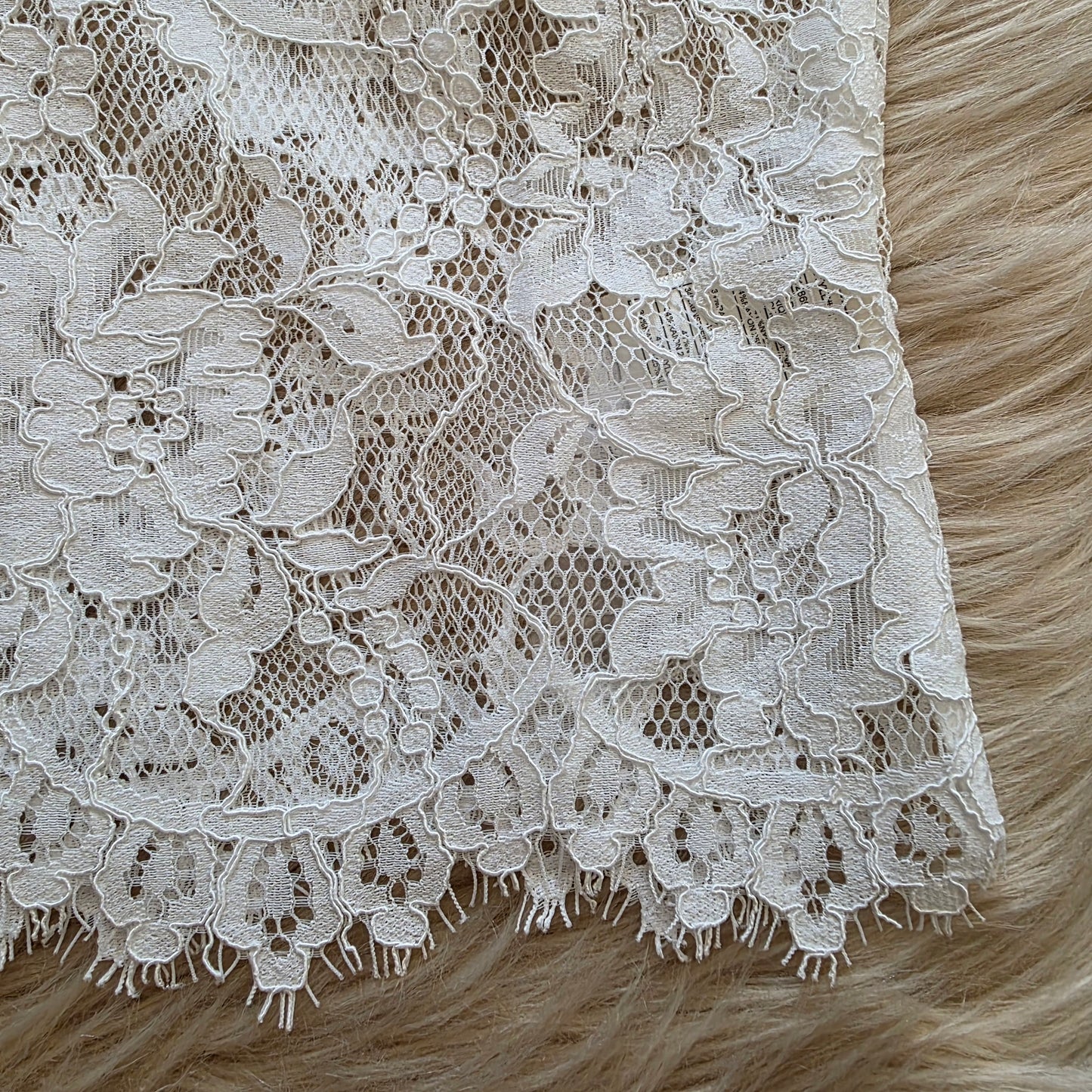 Monette Lace Top Tops Steve Madden