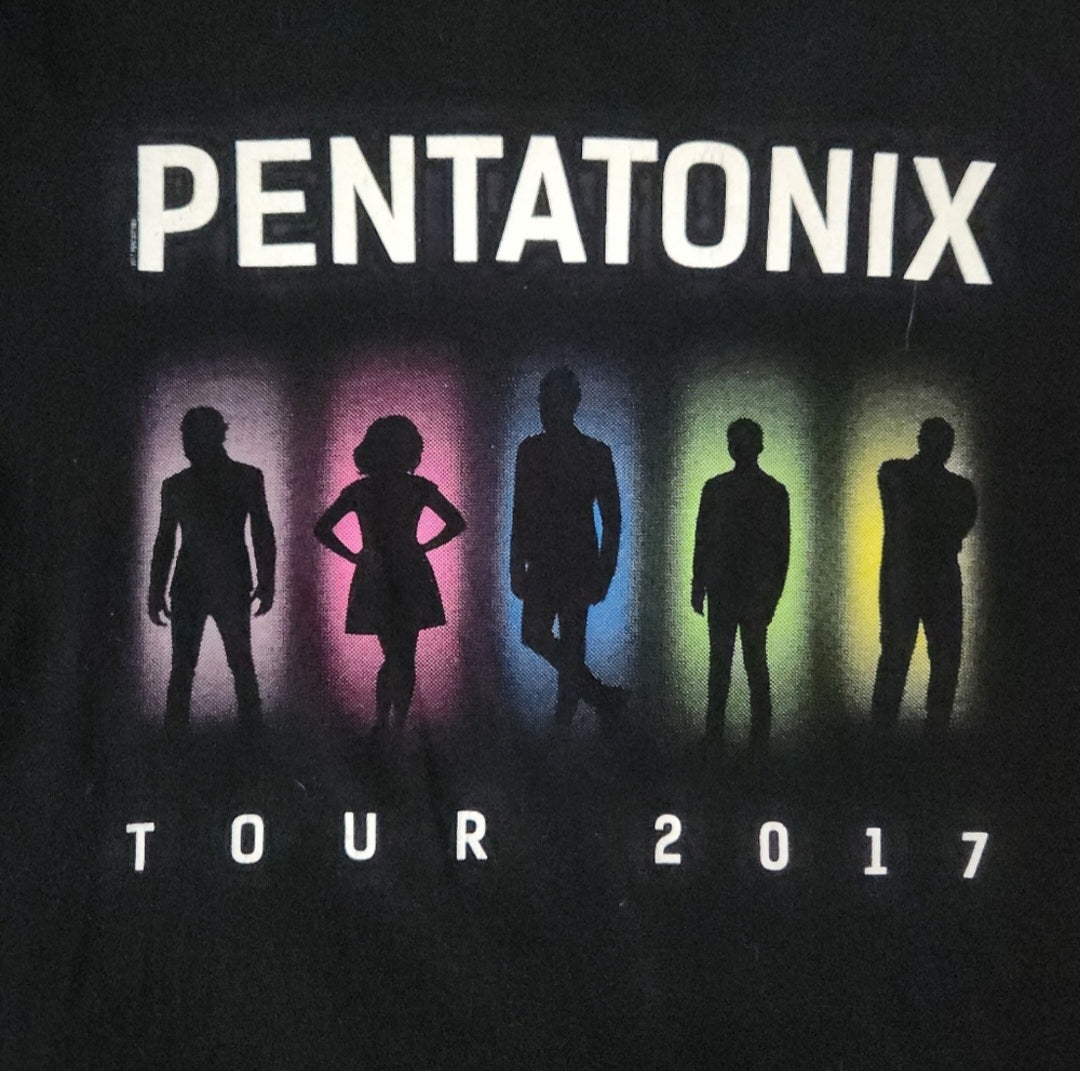 Pentatonix 2017 Tour Band Tee Vintage Vibes Boutique